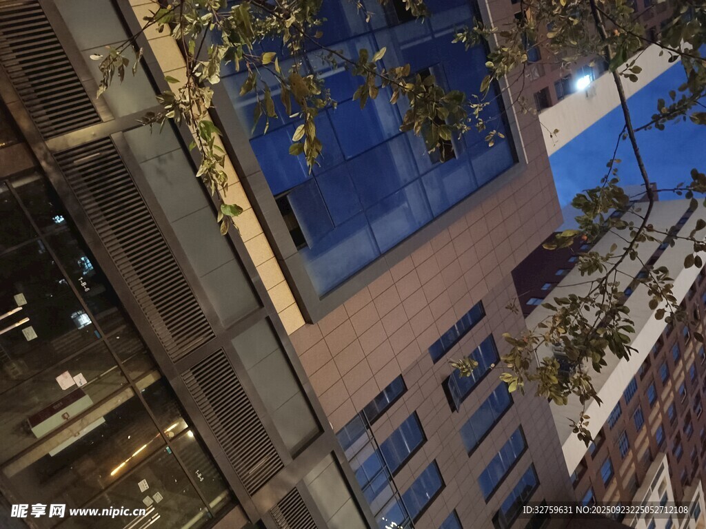 都市高楼夜景与繁茂枝叶