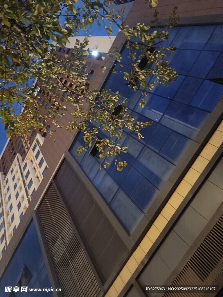 城市建筑旁的繁茂绿树