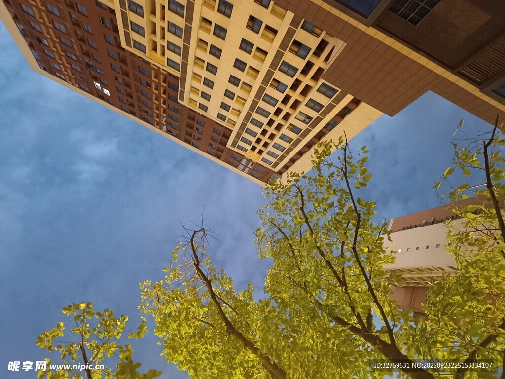 高楼间绿意盎然的景致