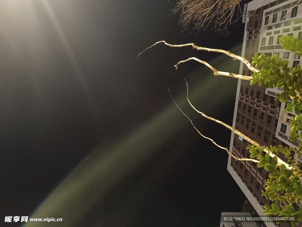 闪电划破夜空景象