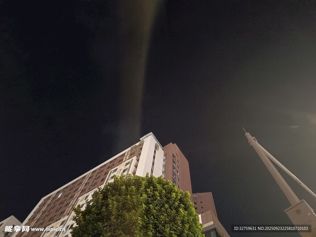 仰视高楼与绿植景观