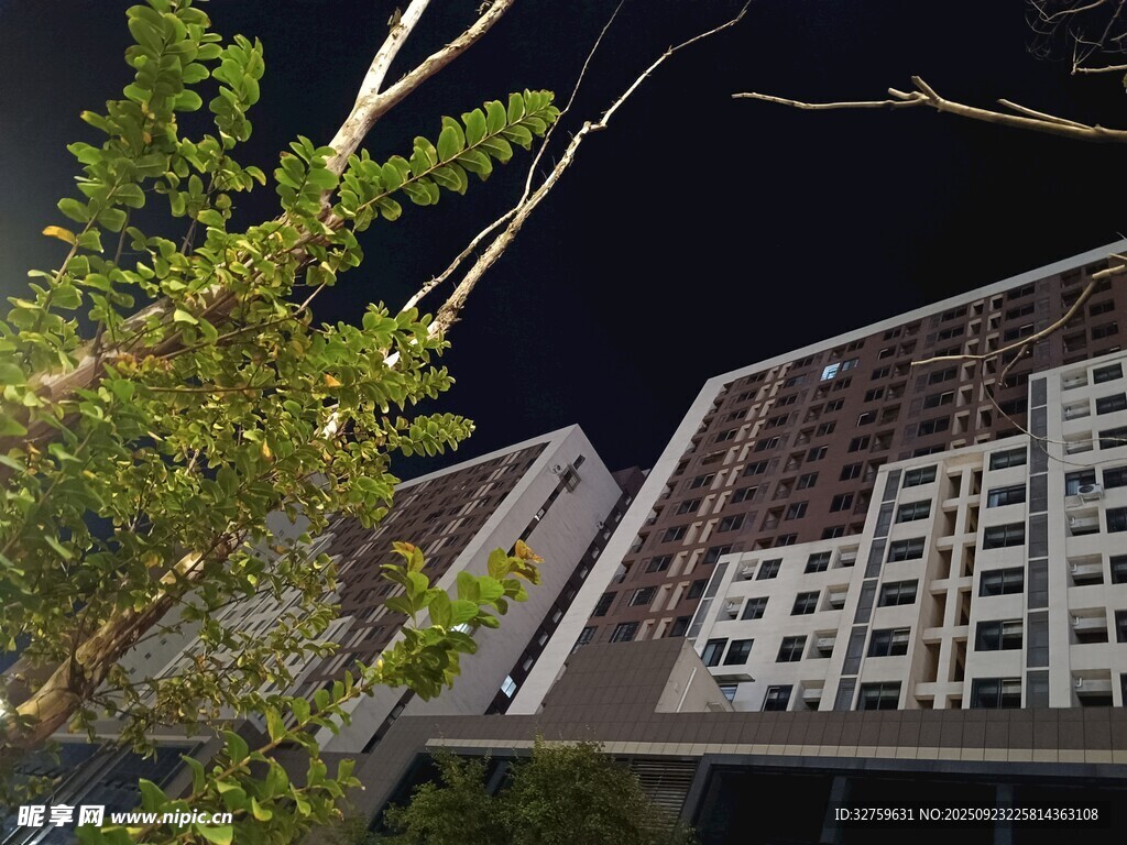 夜下绿植旁的现代建筑