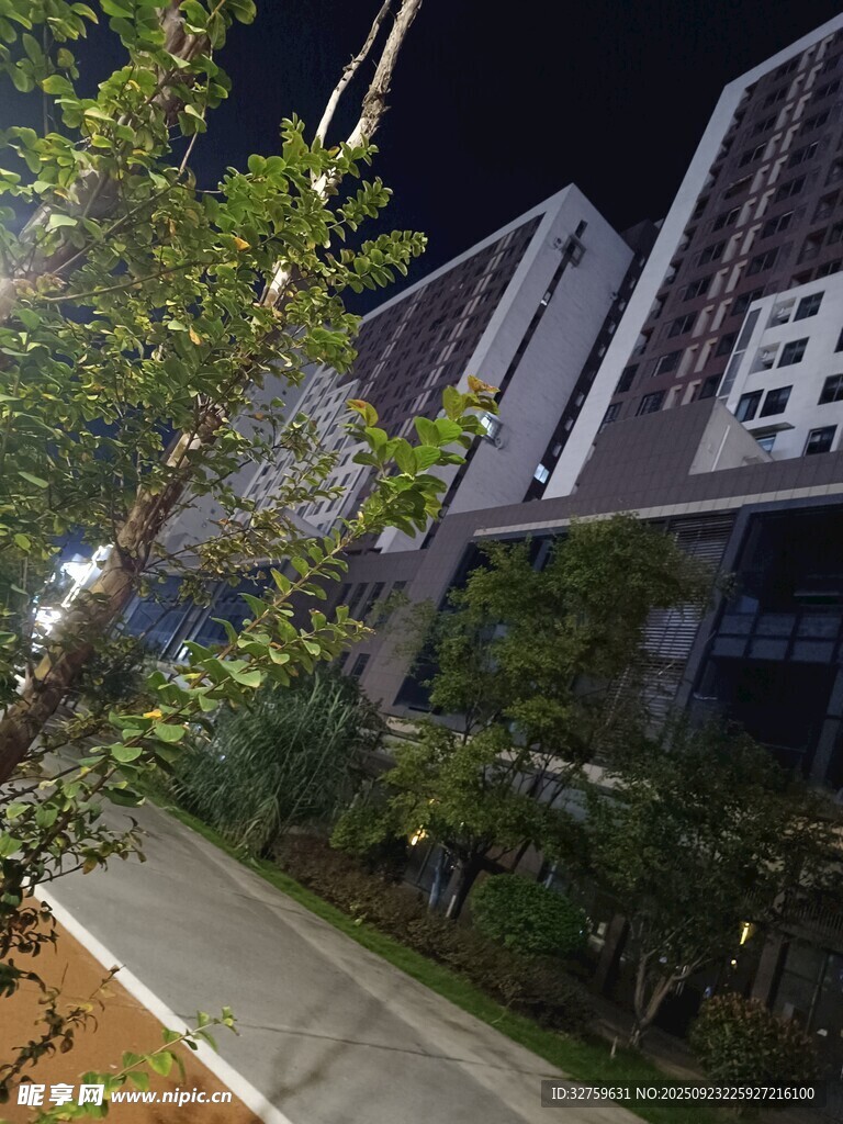 夜晚城市建筑旁绿植景观