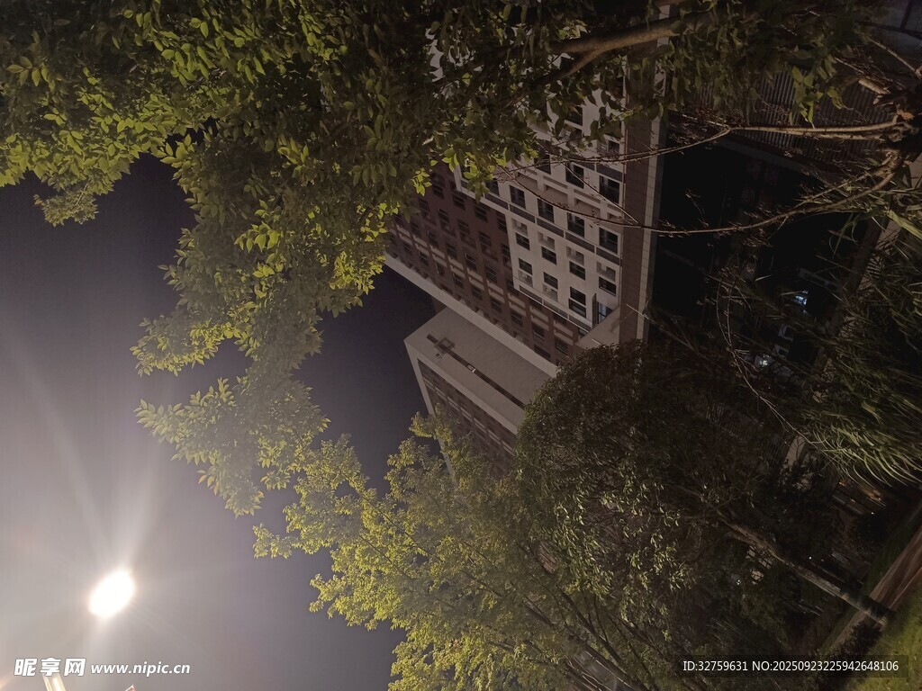 夜晚城市中树木与建筑景观