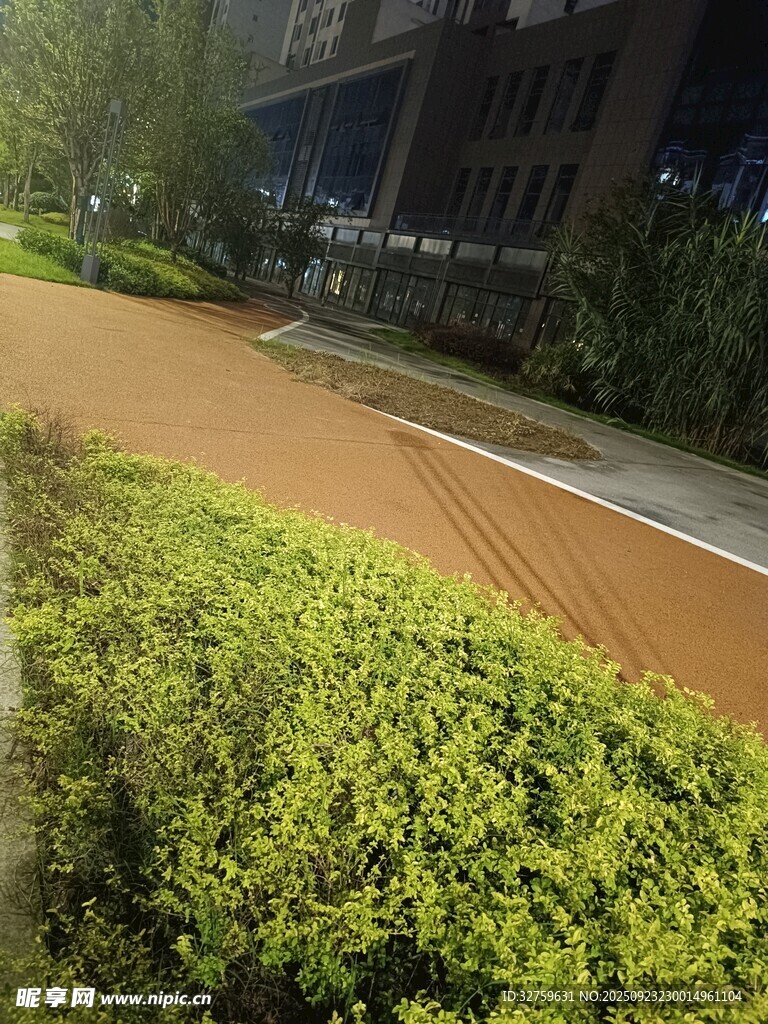 城市绿植装点的步道景观