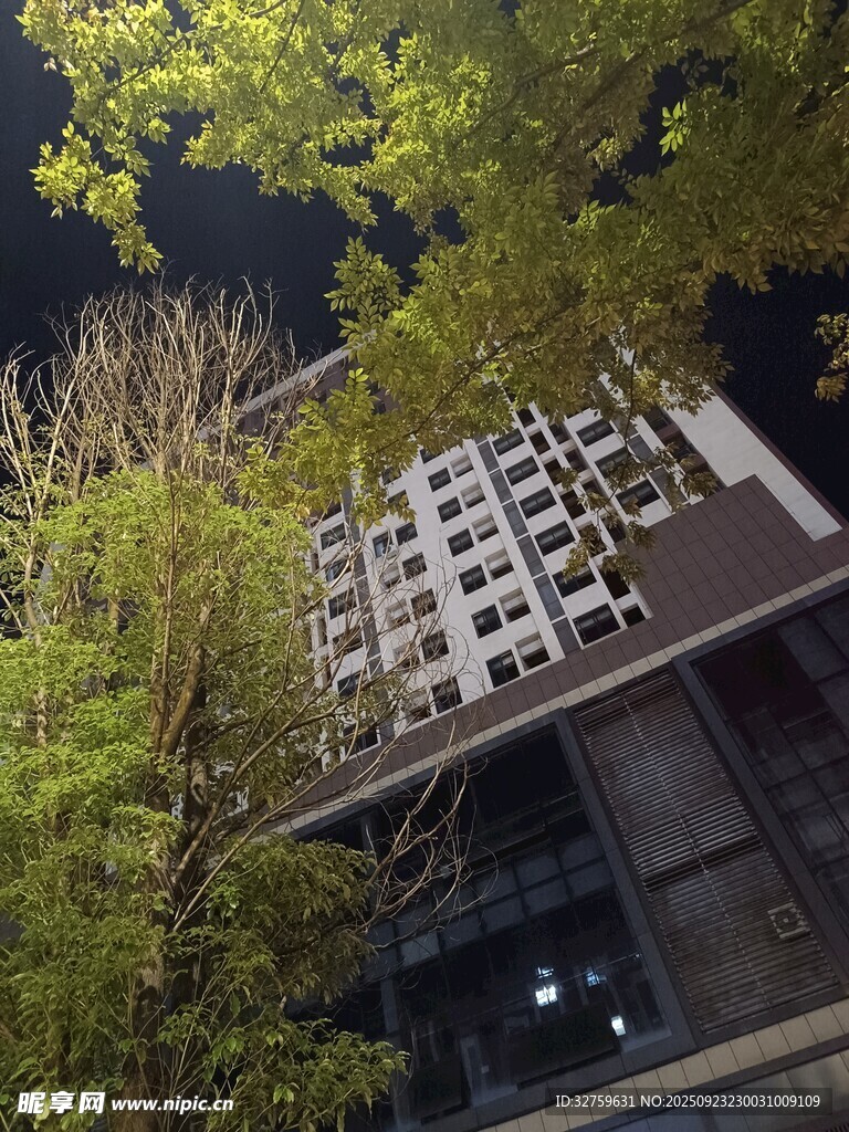 夜晚绿植旁的现代建筑