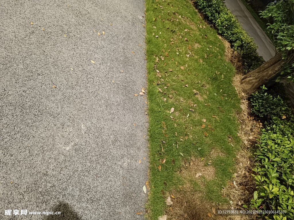 道路旁的草地与沟渠