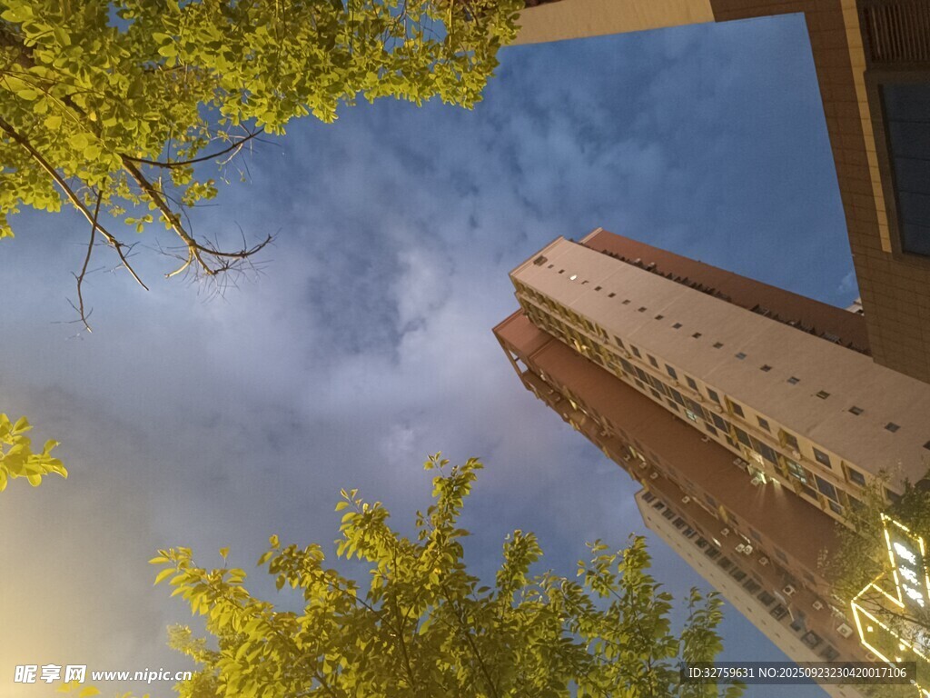 仰视绿树与高楼的天空