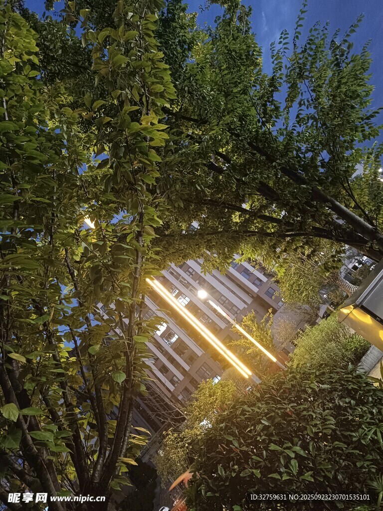 林间木屋在光影下的静谧
