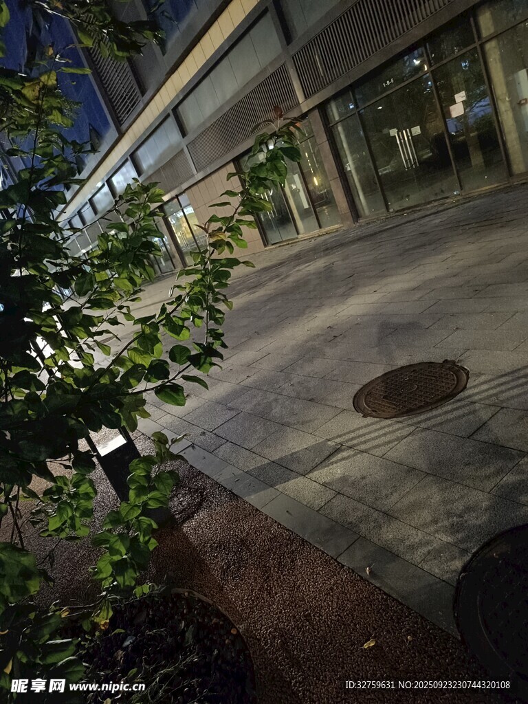 夜晚庭院一角的静谧景致