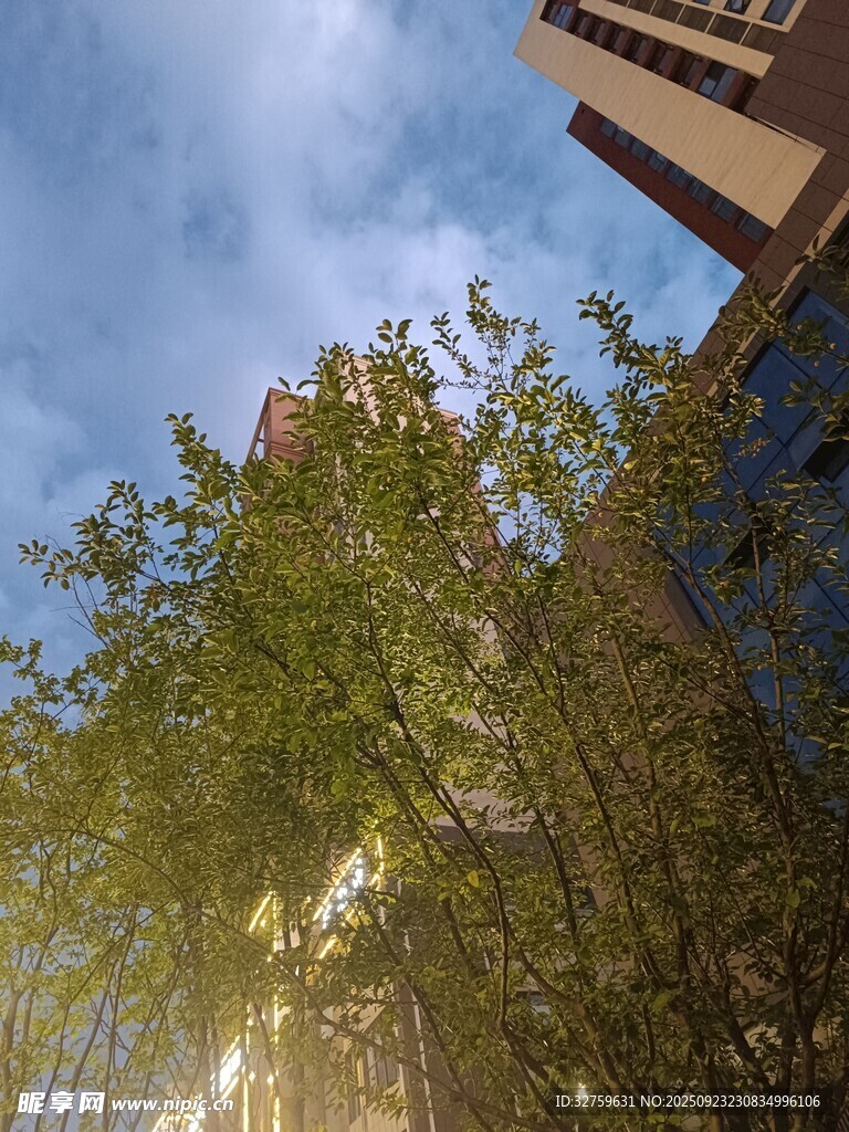 阳光洒落绿树旁的建筑