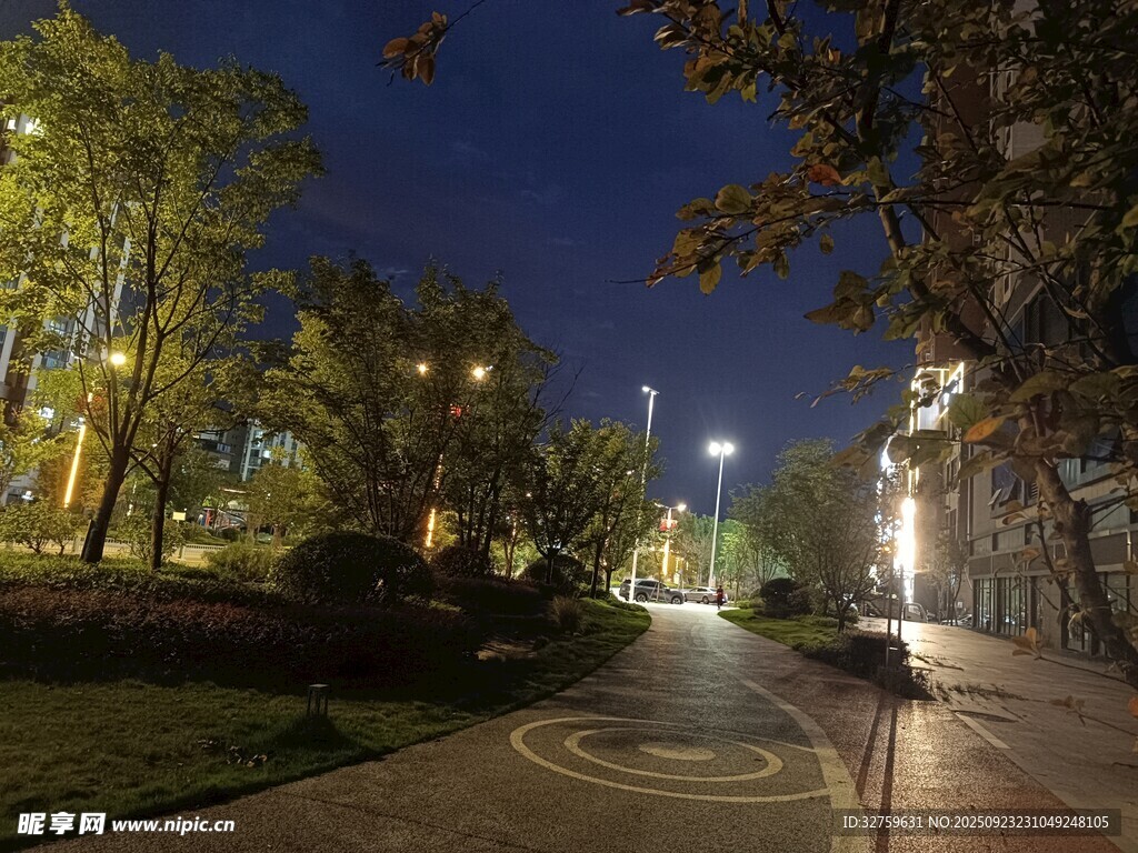 夜晚静谧的林间小路