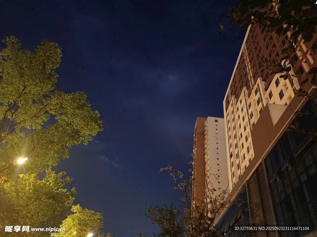 城市夜景中的建筑与树木