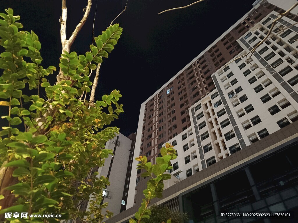 夜下高楼与绿植