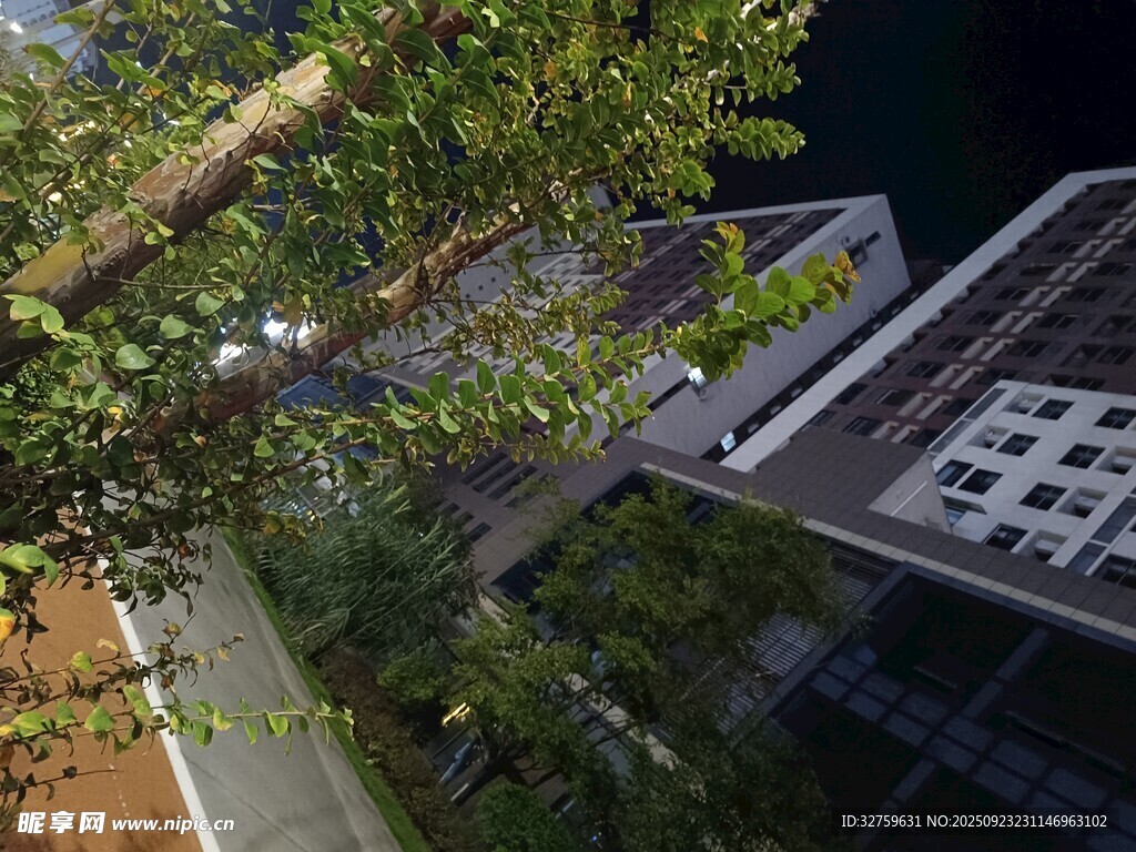 俯瞰现代建筑与绿植景观