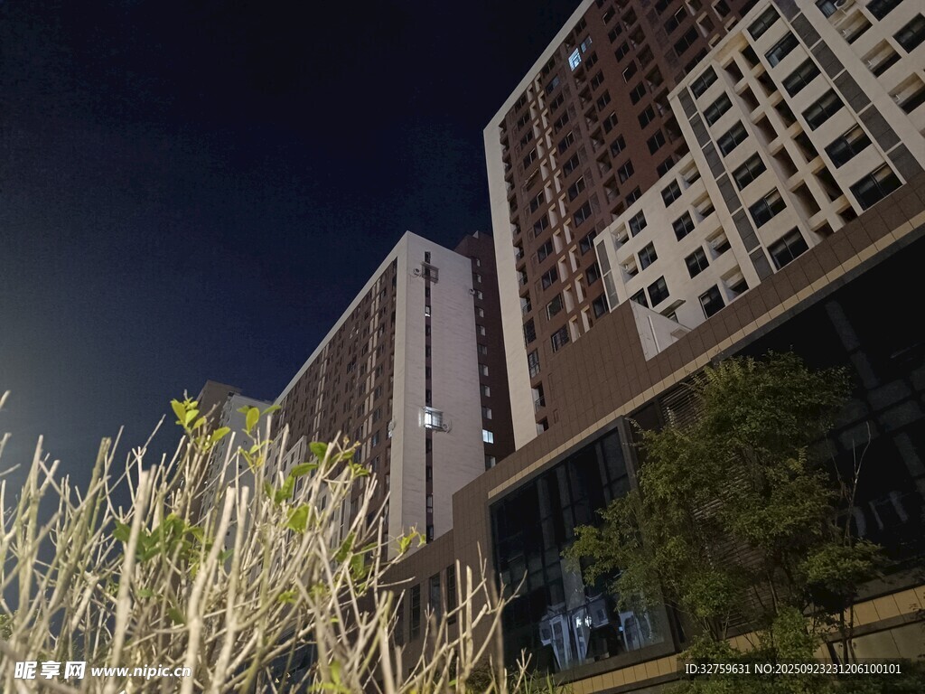 夜晚城市建筑与树木景观