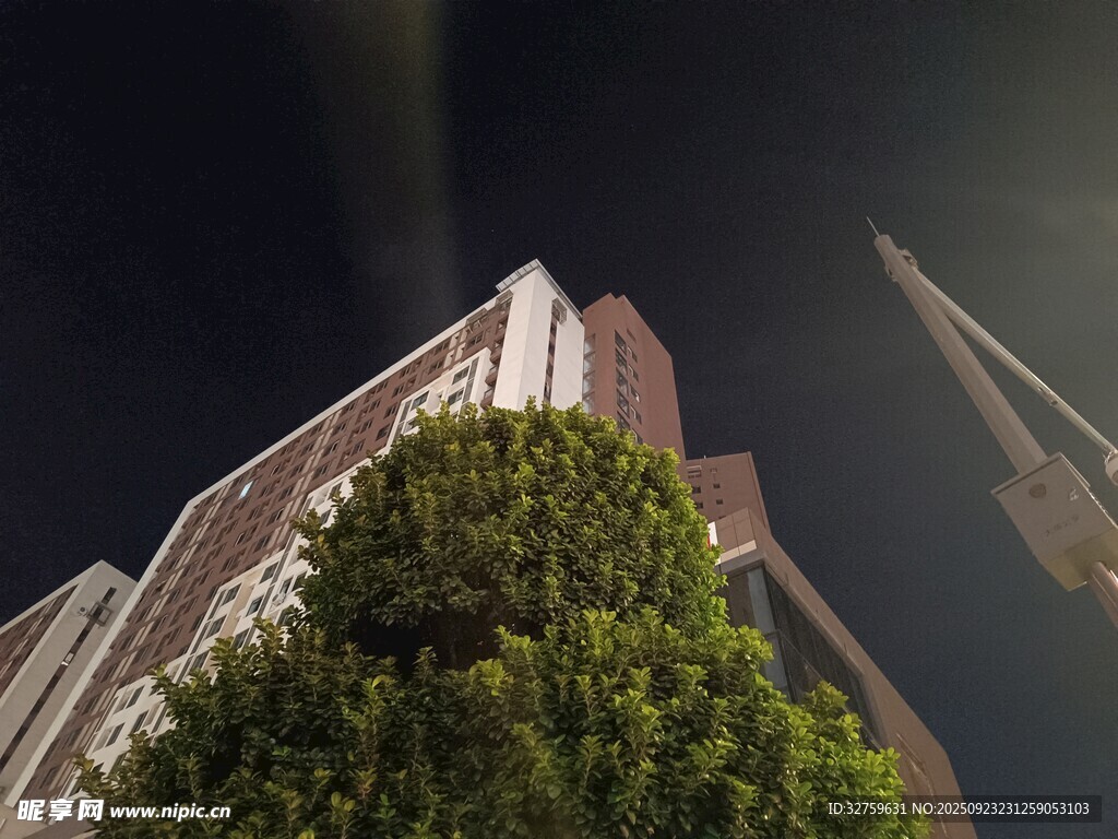 仰视高楼与葱郁树木