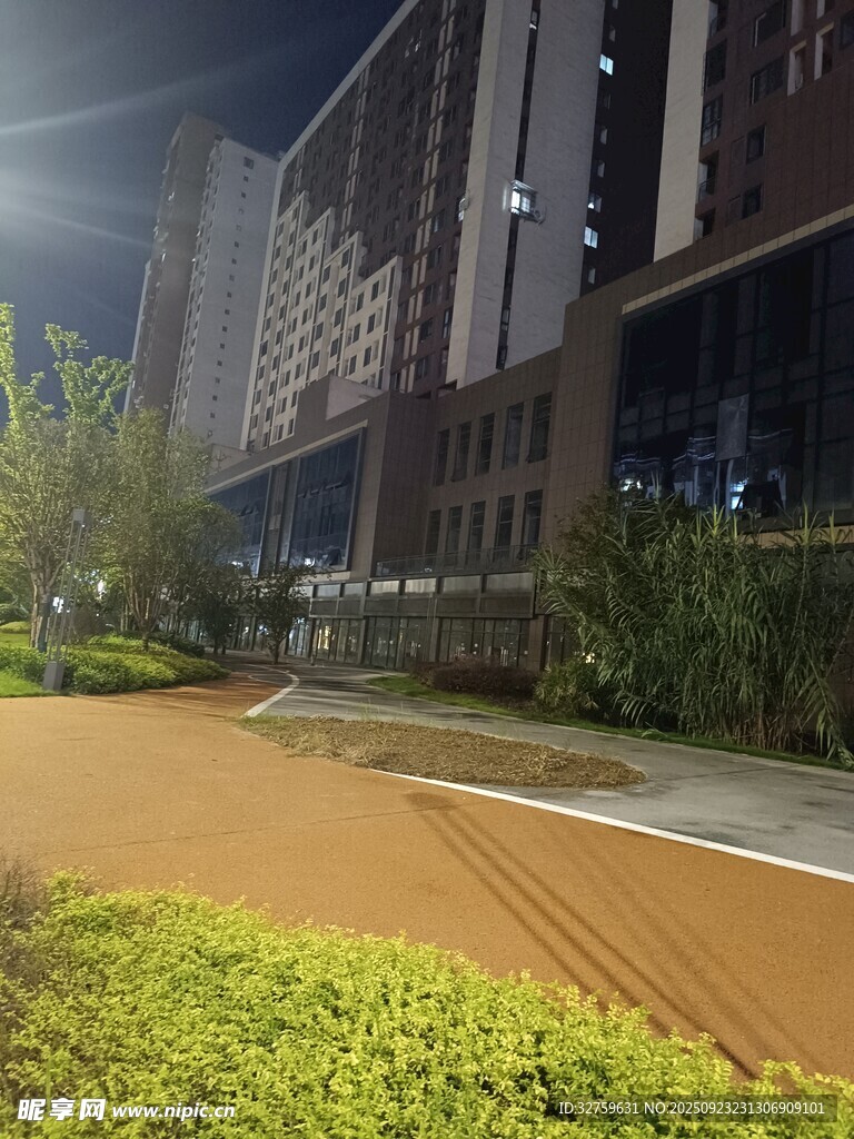 城市夜间的绿化步道景观