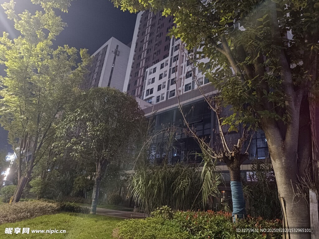夜晚城市中的绿植与建筑