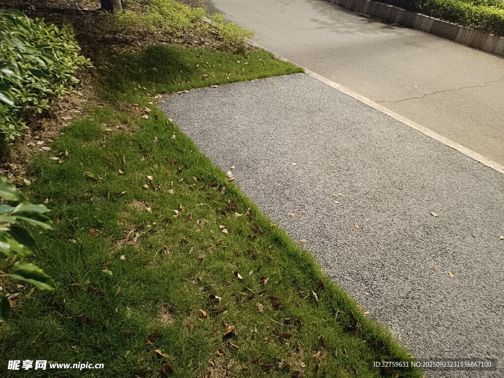 蜿蜒小路旁的翠绿草地