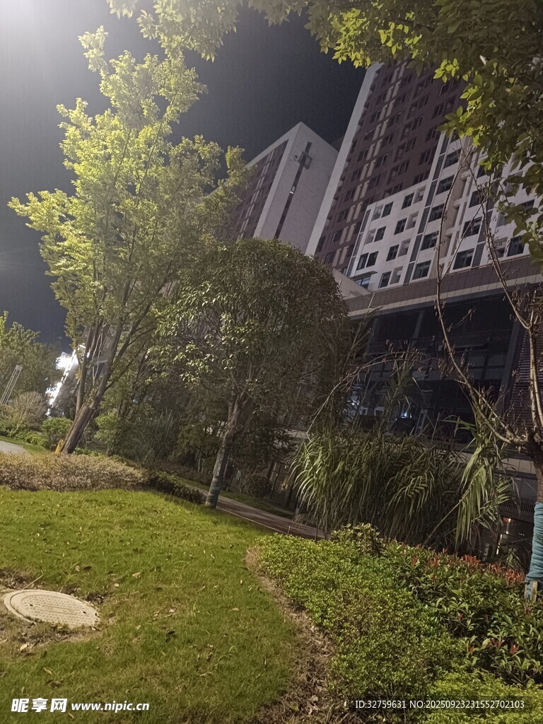 夜晚中的花园式建筑景观