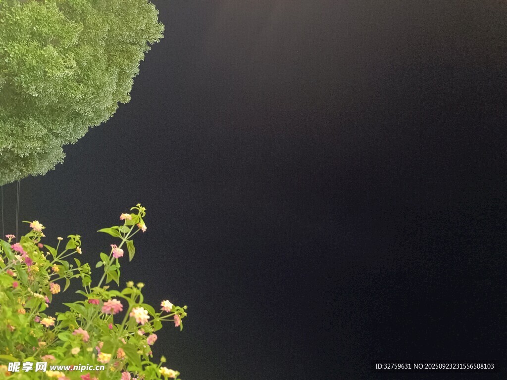 河畔绿植与幽深水面