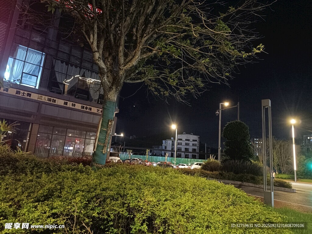 夜晚城市绿植景观