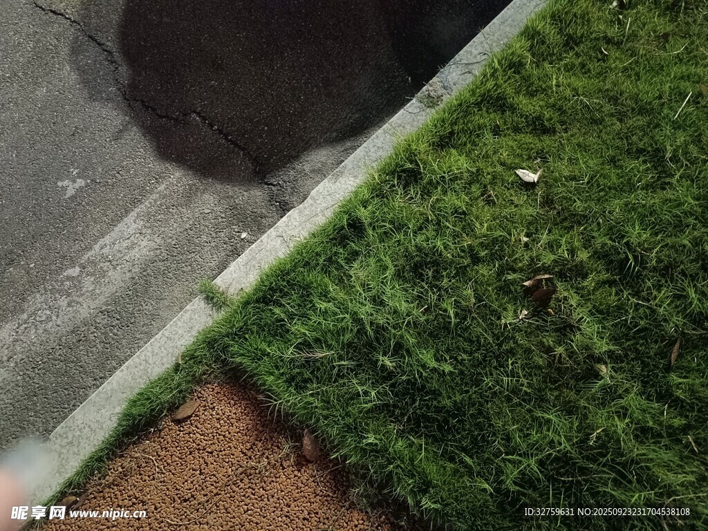 路边草地旁的神秘地洞