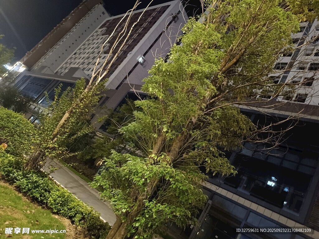 高楼间的绿意植物景观