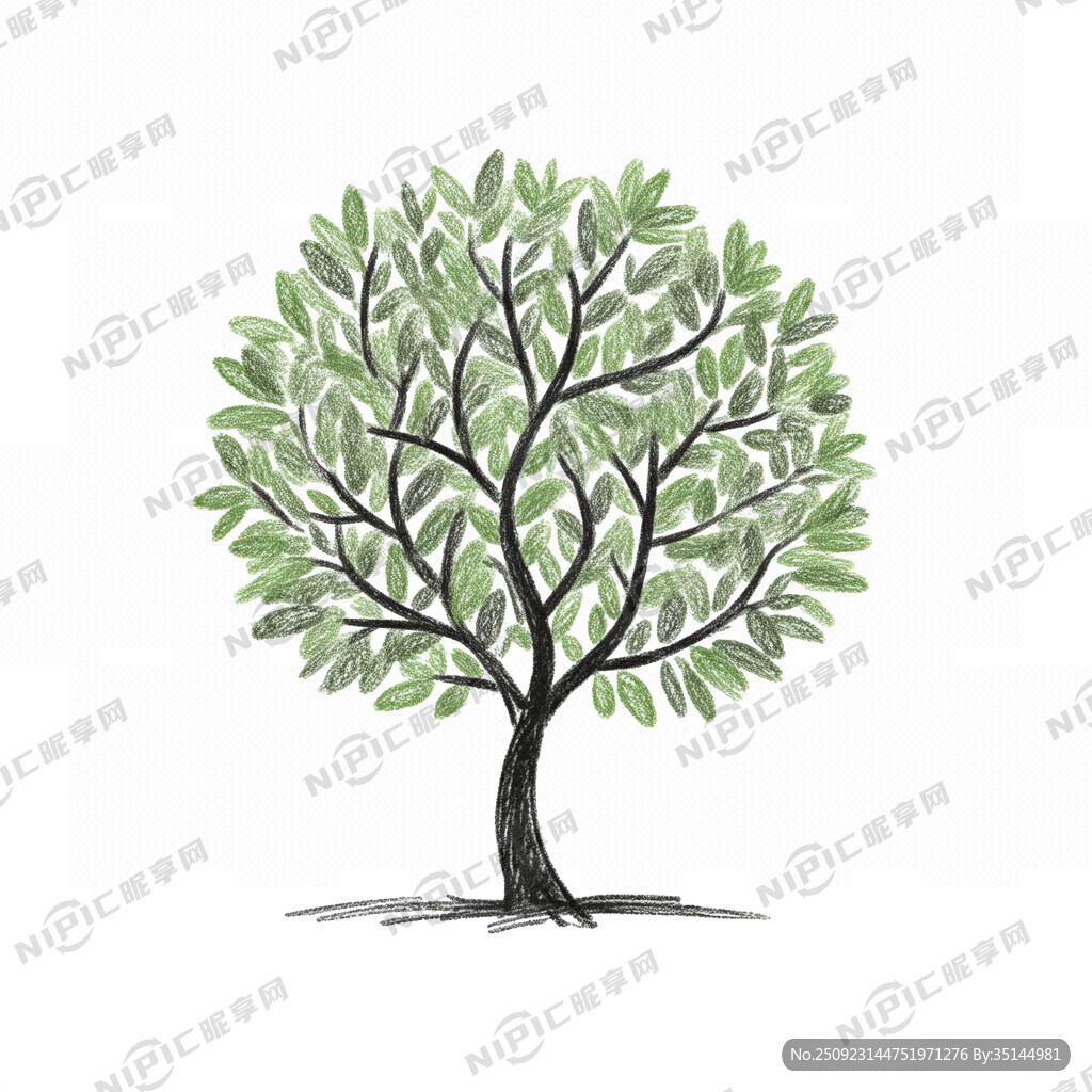 一颗茶树的简笔画