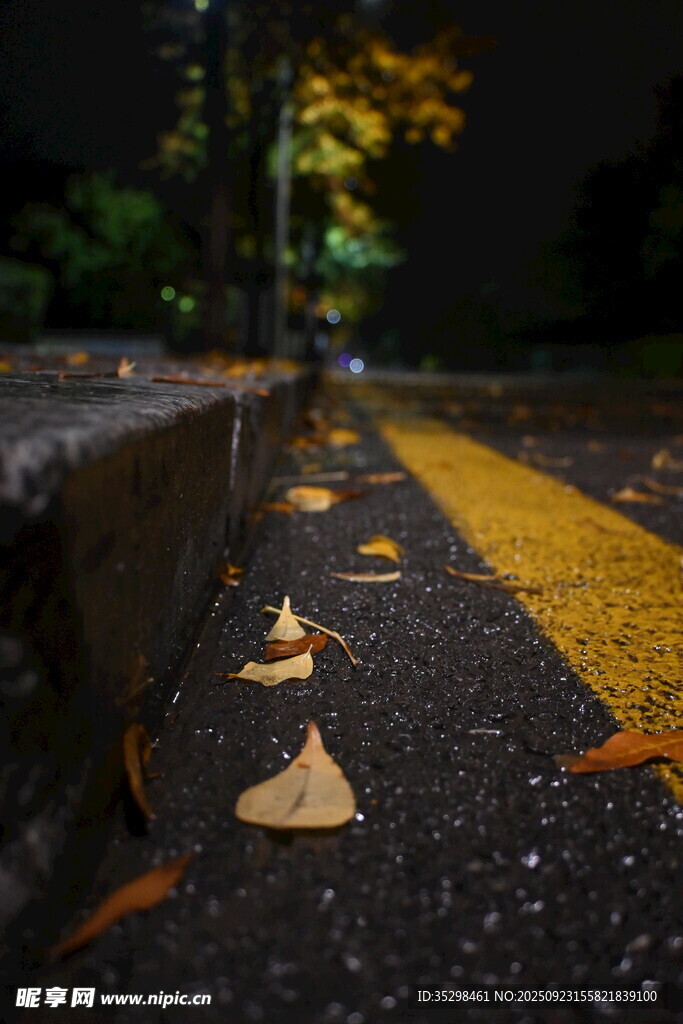 秋夜路旁落叶铺就的美景