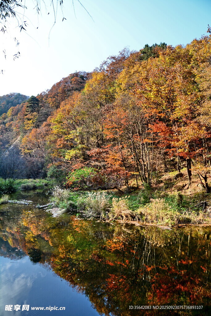 秋日山林湖畔美丽景致
