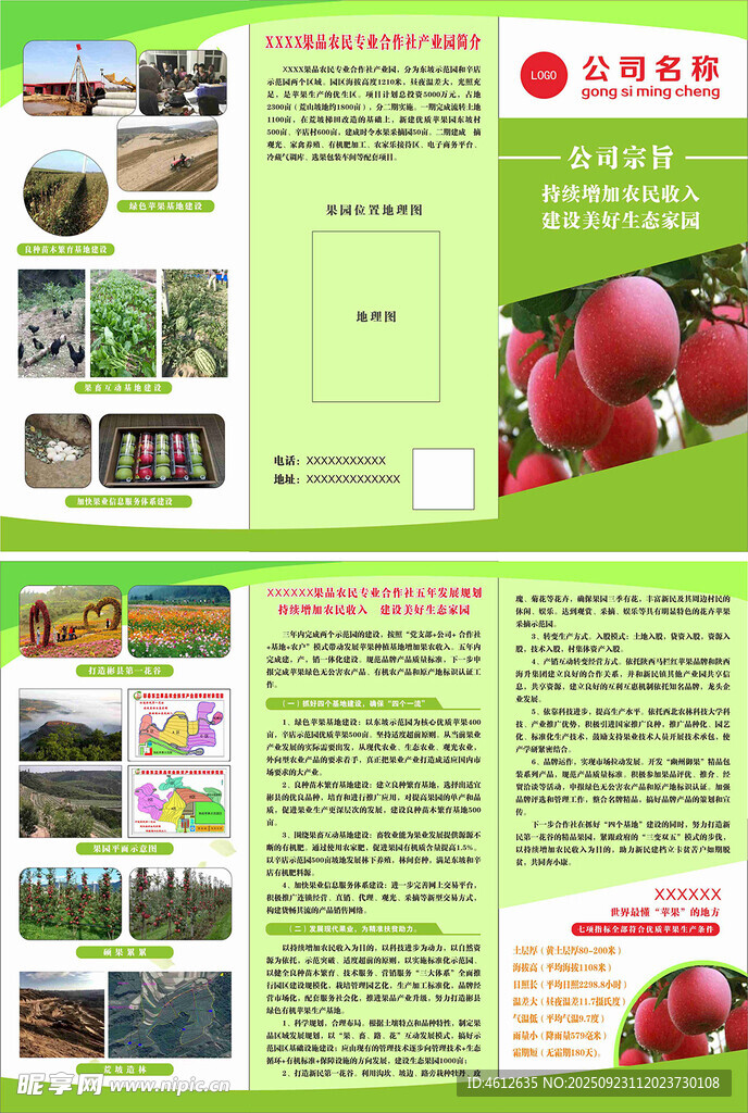苹果三折页