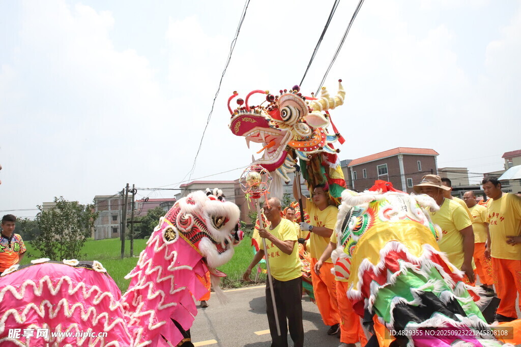 龙獅共舞