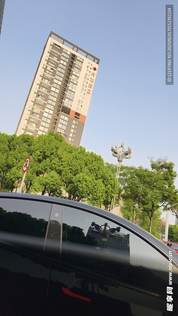 高楼旁绿树间的汽车景象
