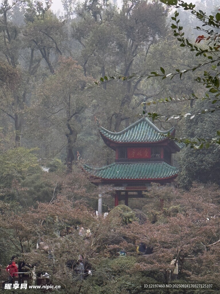山林中的古典亭子