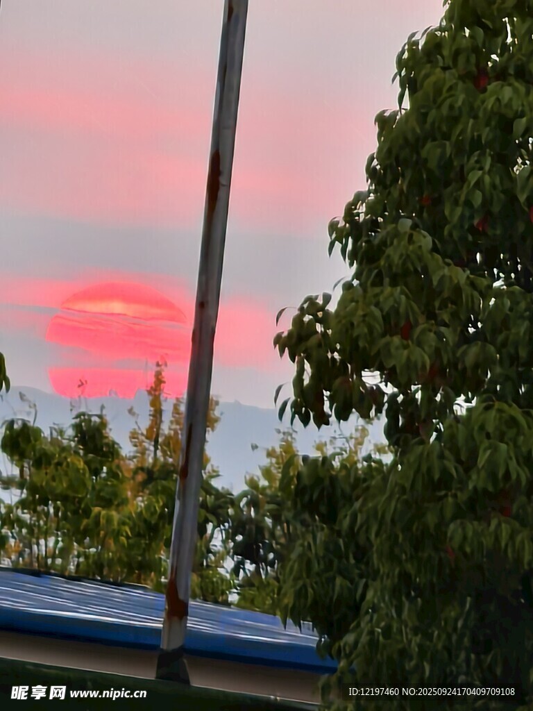 夕阳下的树梢与天空