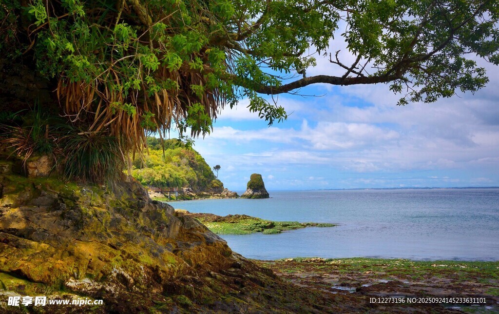 湖畔绿荫美景