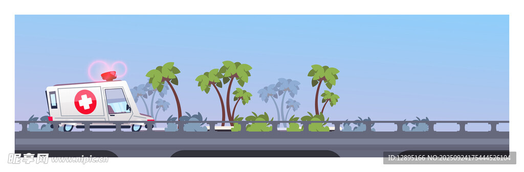 海边公路旁的棕榈树景观