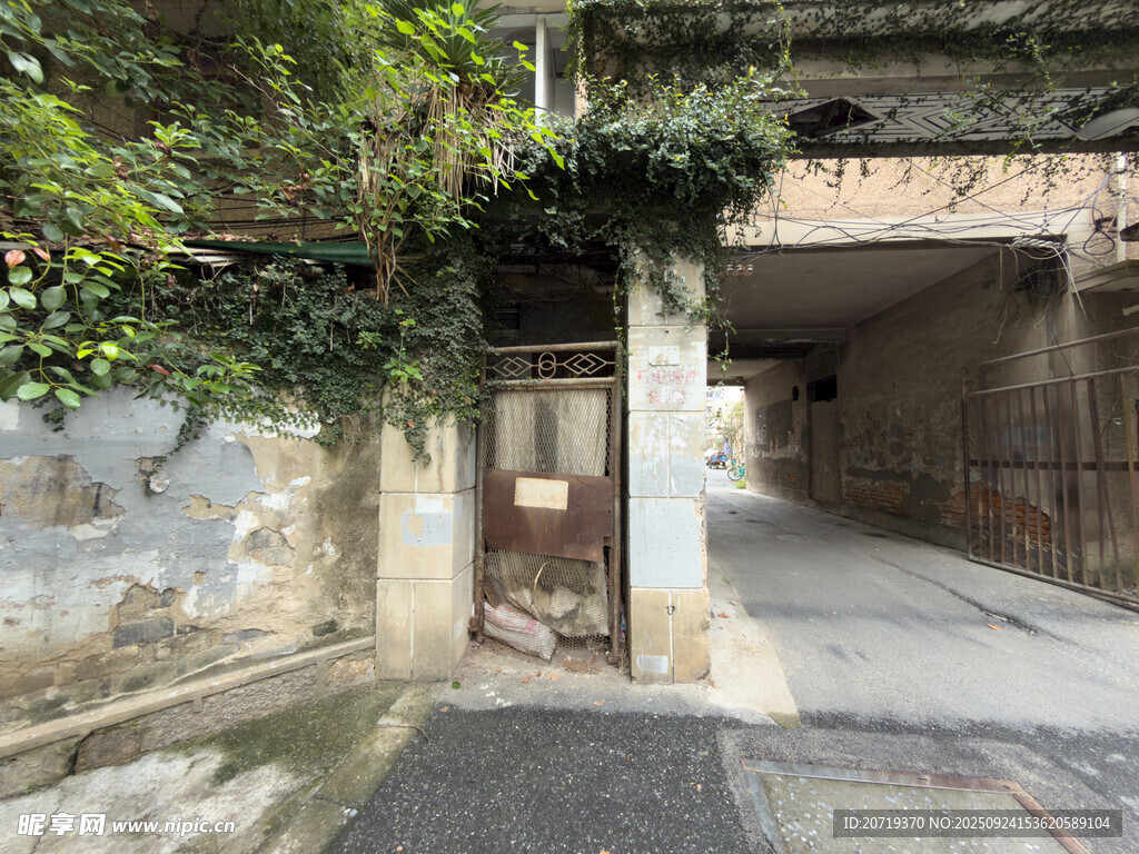三墩老街