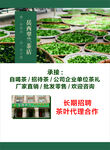 企业生态园区景观展示