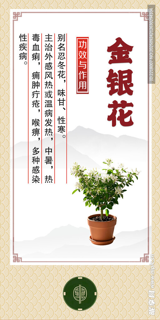 中药材 盆栽金银花 展示图