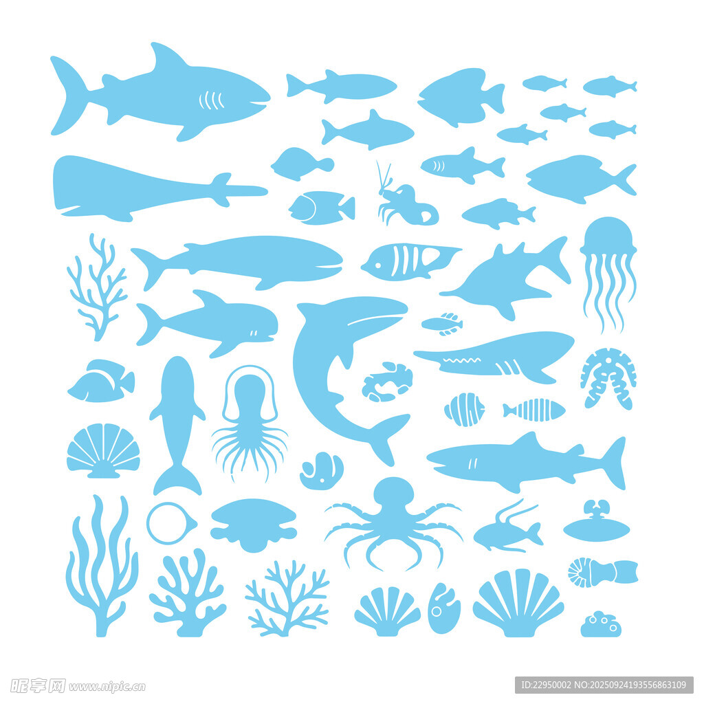 海洋生物 