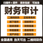 财务审计服务宣传海报