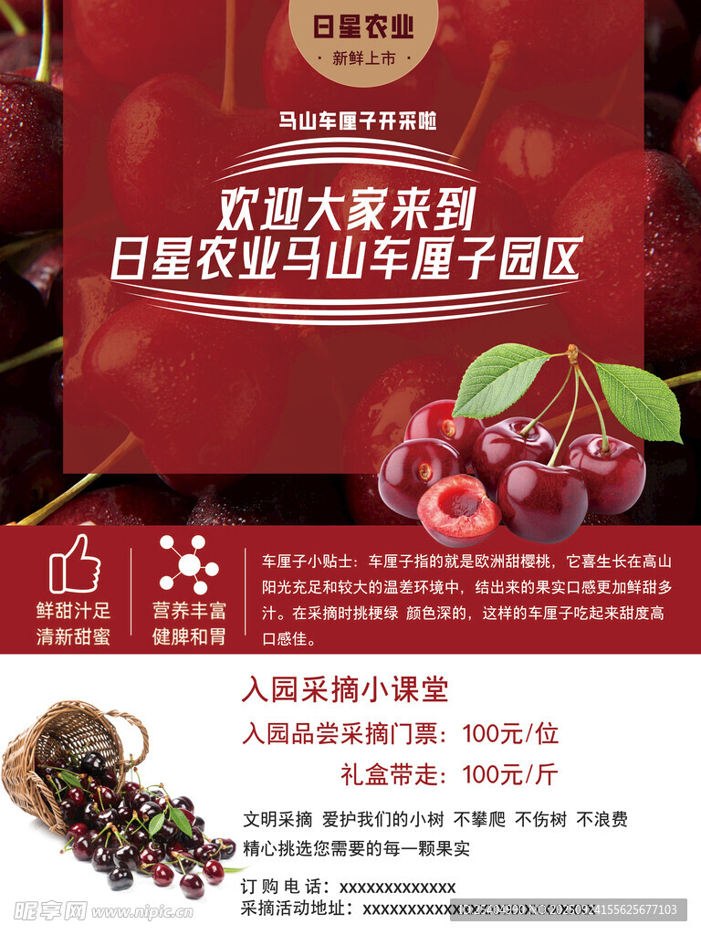 车厘子采摘海报