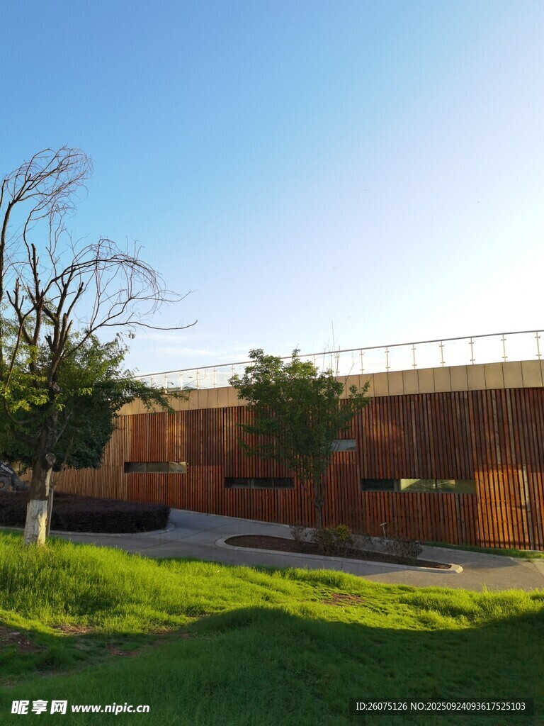 户外建筑旁的绿植与树木