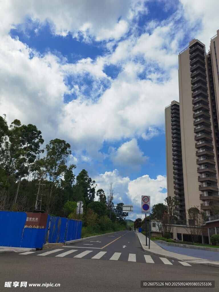 城市街道旁的高楼与蓝天