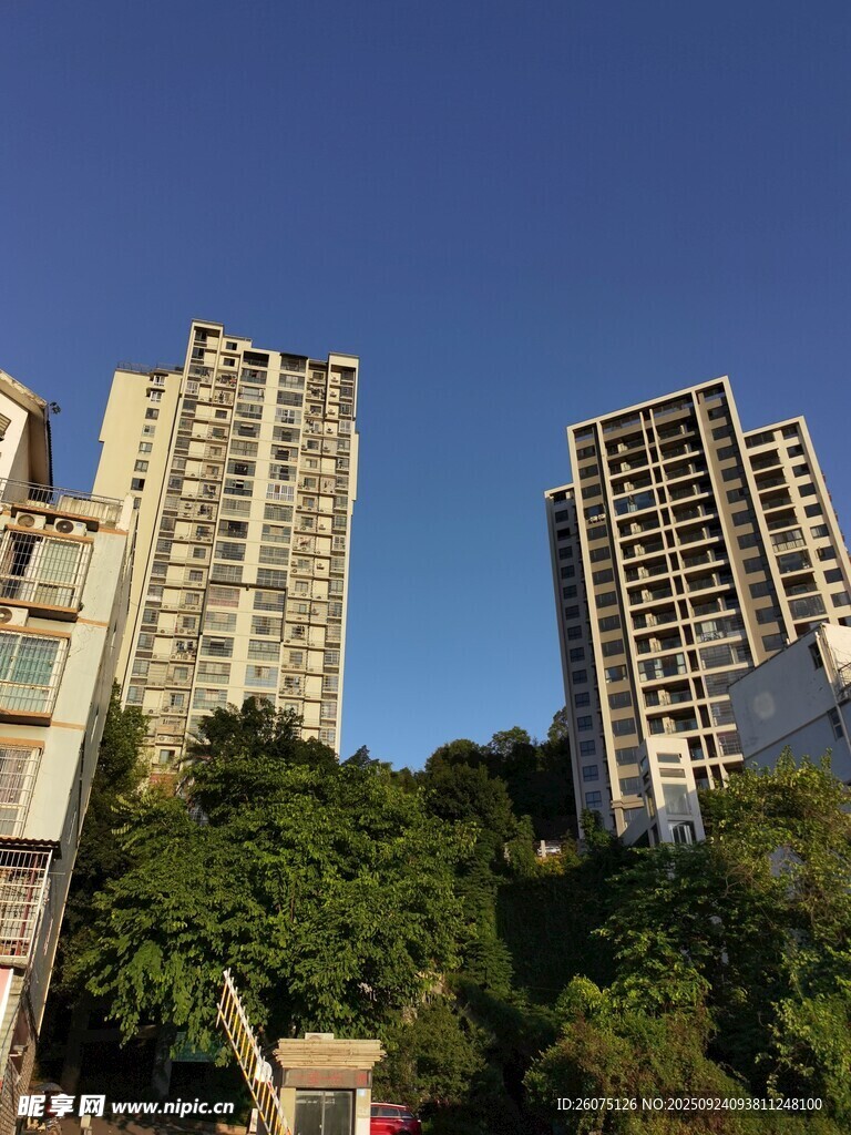 城市中林立的高层住宅楼
