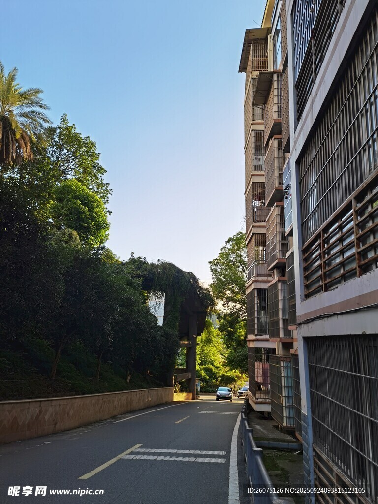 街道旁的建筑与绿植景观