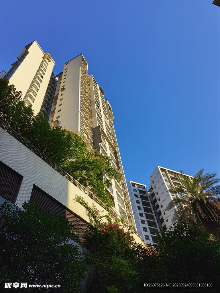 城市高楼与绿植景观